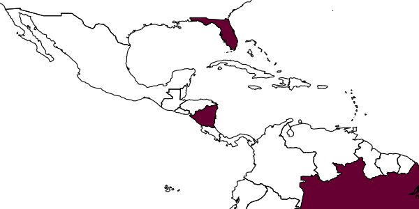 map of Anisepyris fingoni     Barbosa & Azevedo, 2018